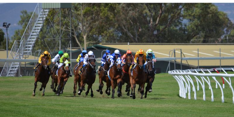 Quản lý tài chính Quản lý tài chính